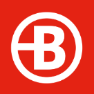 Bruneau Logo