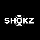 Logo SHOKZ